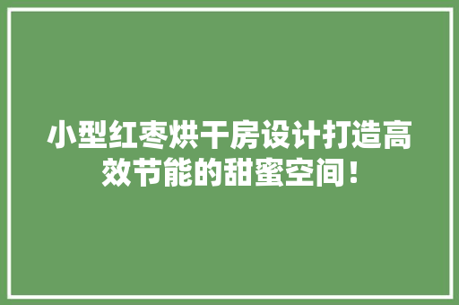 小型红枣烘干房设计打造高效节能的甜蜜空间！