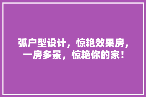 弧户型设计，惊艳效果房，一房多景，惊艳你的家！