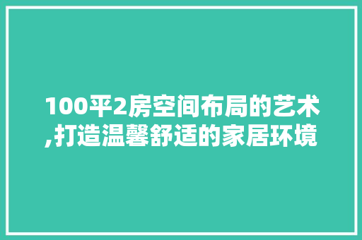 100平2房空间布局的艺术,打造温馨舒适的家居环境