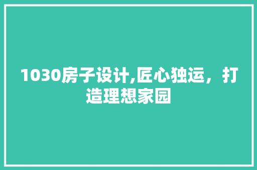 1030房子设计,匠心独运，打造理想家园
