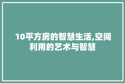10平方房的智慧生活,空间利用的艺术与智慧