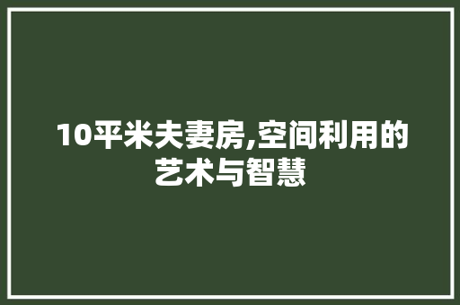10平米夫妻房,空间利用的艺术与智慧