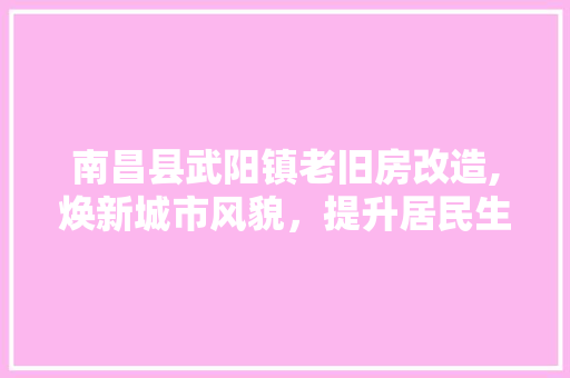 南昌县武阳镇老旧房改造,焕新城市风貌，提升居民生活品质
