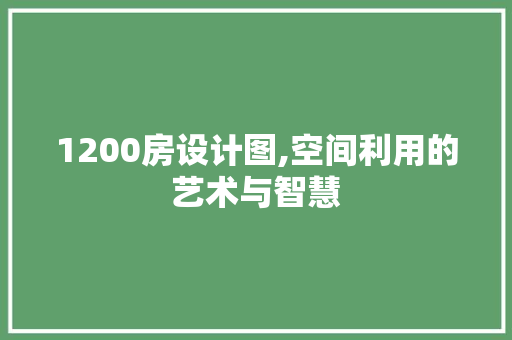 1200房设计图,空间利用的艺术与智慧