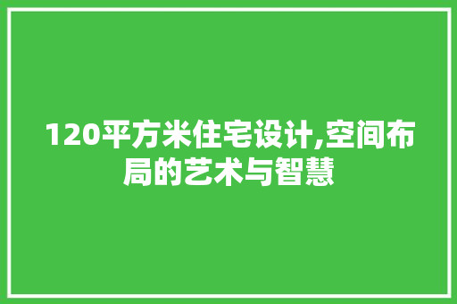 120平方米住宅设计,空间布局的艺术与智慧