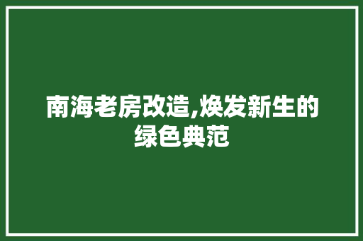 南海老房改造,焕发新生的绿色典范