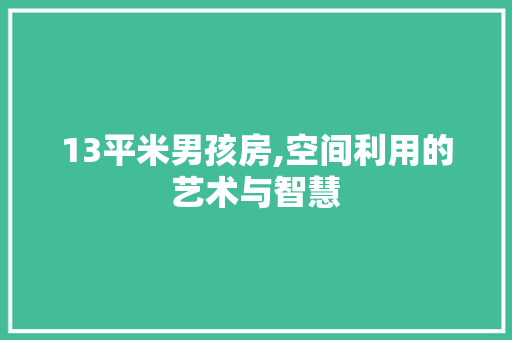 13平米男孩房,空间利用的艺术与智慧 装修攻略