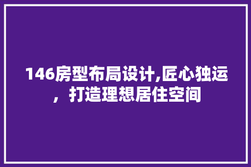 146房型布局设计,匠心独运，打造理想居住空间