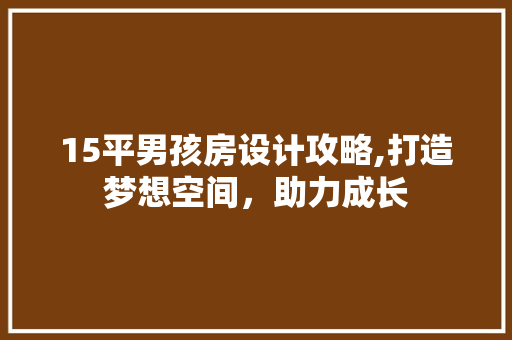 15平男孩房设计攻略,打造梦想空间，助力成长