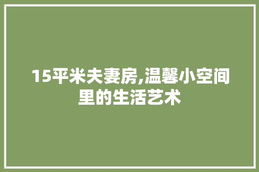 15平米夫妻房,温馨小空间里的生活艺术