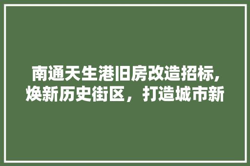 南通天生港旧房改造招标,焕新历史街区，打造城市新名片