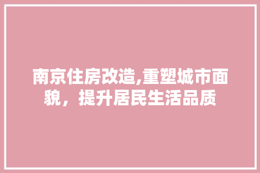 南京住房改造,重塑城市面貌，提升居民生活品质