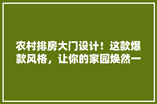 农村排房大门设计！这款爆款风格，让你的家园焕然一新！ 门窗装修
