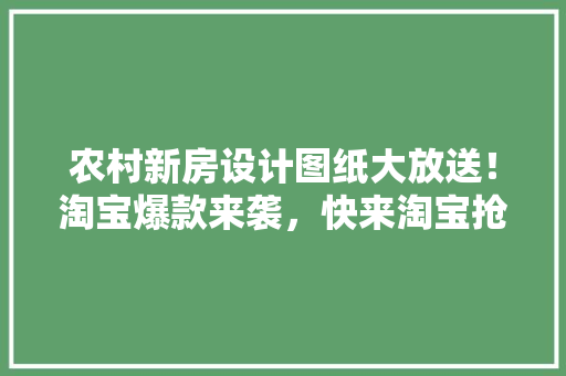 农村新房设计图纸大放送！淘宝爆款来袭，快来淘宝抢购你的梦想家园 墙面装饰
