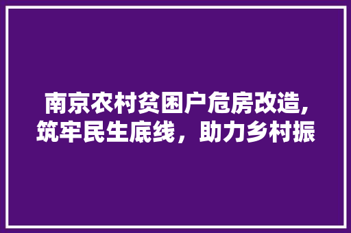 南京农村贫困户危房改造,筑牢民生底线，助力乡村振兴