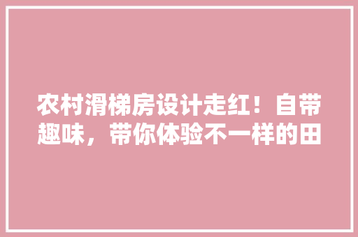 农村滑梯房设计走红！自带趣味，带你体验不一样的田园生活 地面装修