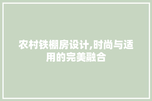 农村铁棚房设计,时尚与适用的完美融合 墙面装饰