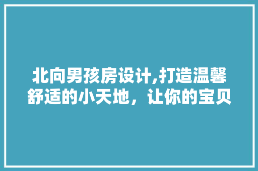 北向男孩房设计,打造温馨舒适的小天地，让你的宝贝快乐成长！ 门窗装修