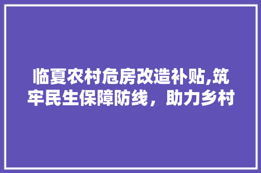 临夏农村危房改造补贴,筑牢民生保障防线，助力乡村振兴