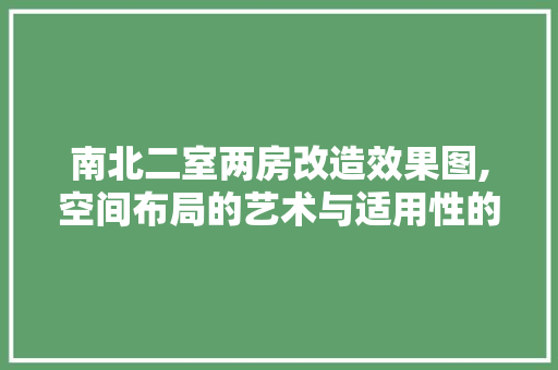 南北二室两房改造效果图,空间布局的艺术与适用性的完美结合