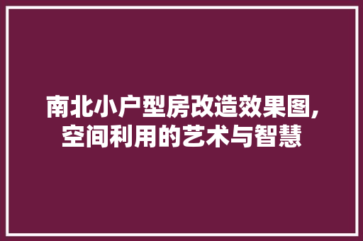 南北小户型房改造效果图,空间利用的艺术与智慧