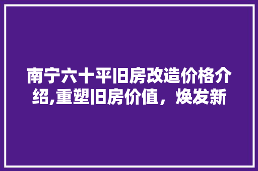 南宁六十平旧房改造价格介绍,重塑旧房价值，焕发新生活光彩