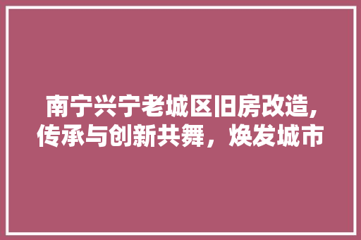 南宁兴宁老城区旧房改造,传承与创新共舞，焕发城市新活力 庭院装修