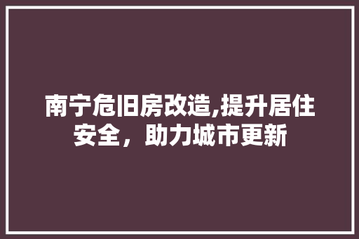 南宁危旧房改造,提升居住安全，助力城市更新