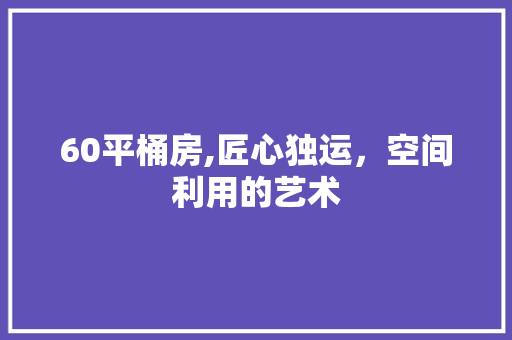 60平桶房,匠心独运，空间利用的艺术