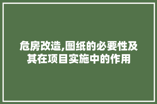 危房改造,图纸的必要性及其在项目实施中的作用
