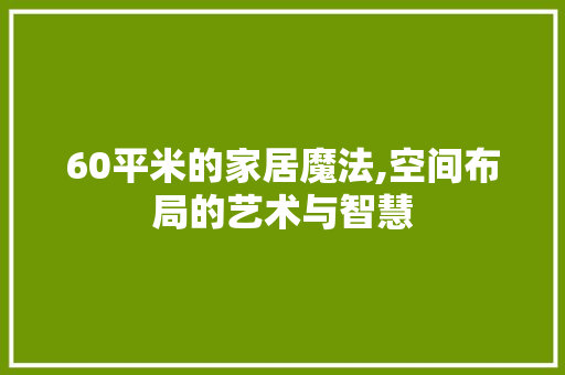 60平米的家居魔法,空间布局的艺术与智慧 地面装修