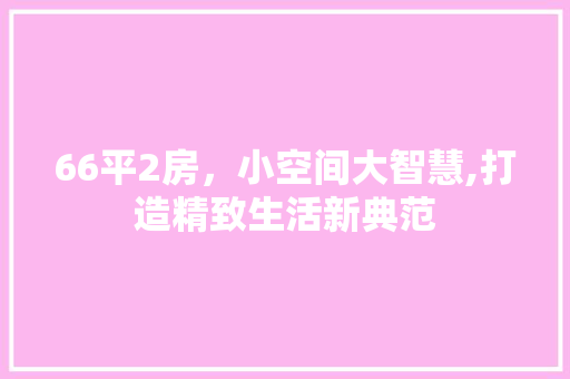 66平2房，小空间大智慧,打造精致生活新典范