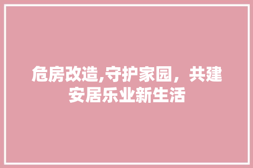 危房改造,守护家园，共建安居乐业新生活