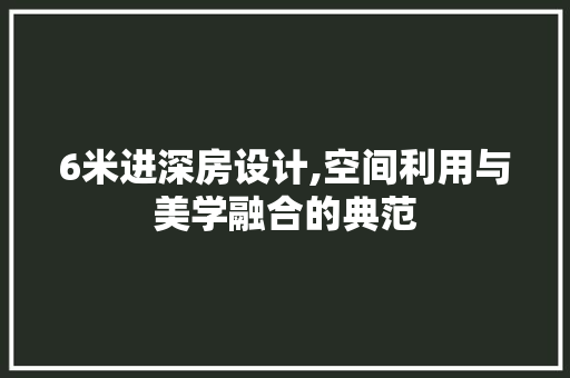 6米进深房设计,空间利用与美学融合的典范