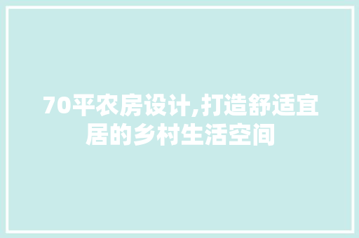 70平农房设计,打造舒适宜居的乡村生活空间 墙面装饰