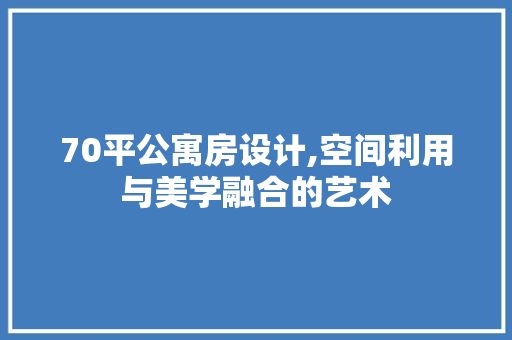 70平公寓房设计,空间利用与美学融合的艺术