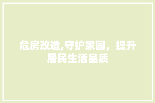 危房改造,守护家园，提升居民生活品质 装修材料