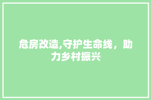 危房改造,守护生命线，助力乡村振兴