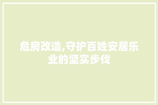 危房改造,守护百姓安居乐业的坚实步伐 装修材料