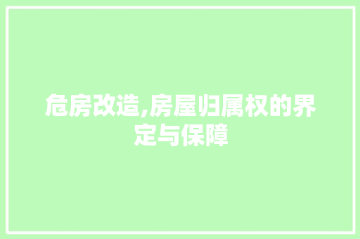 危房改造,房屋归属权的界定与保障