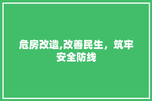 危房改造,改善民生，筑牢安全防线 庭院装修