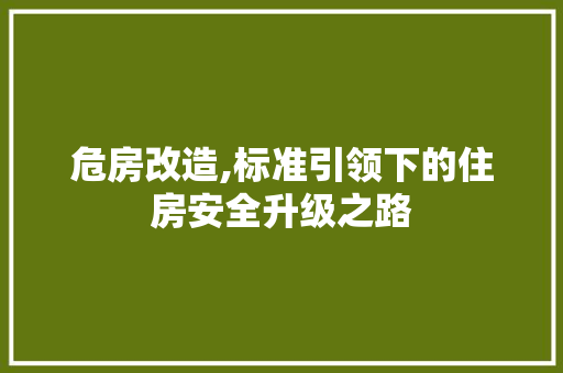 危房改造,标准引领下的住房安全升级之路 景观设计