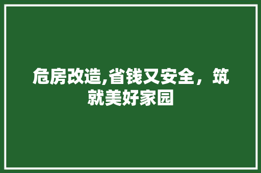 危房改造,省钱又安全，筑就美好家园