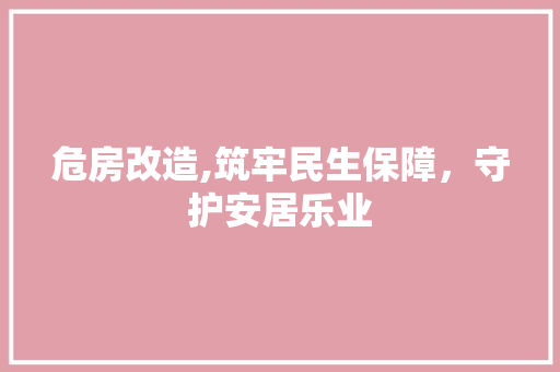 危房改造,筑牢民生保障，守护安居乐业