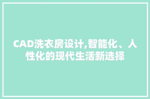 CAD洗衣房设计,智能化、人性化的现代生活新选择