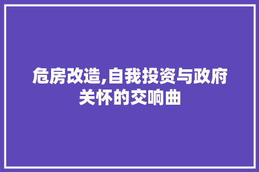 危房改造,自我投资与政府关怀的交响曲 装修材料