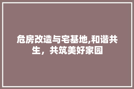 危房改造与宅基地,和谐共生，共筑美好家园