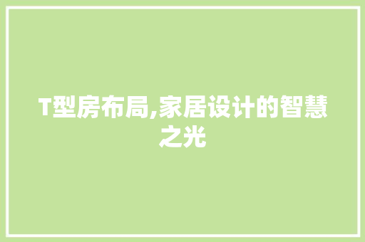 T型房布局,家居设计的智慧之光 地面装修