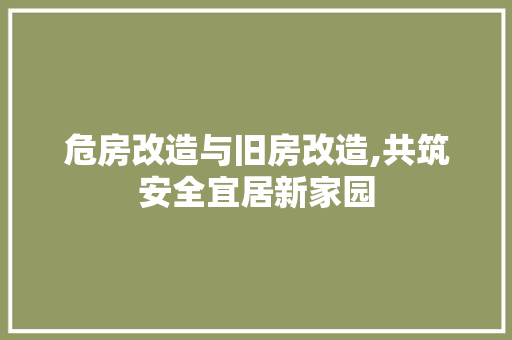 危房改造与旧房改造,共筑安全宜居新家园