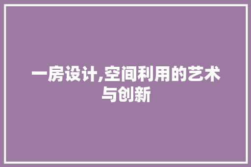 一房设计,空间利用的艺术与创新
